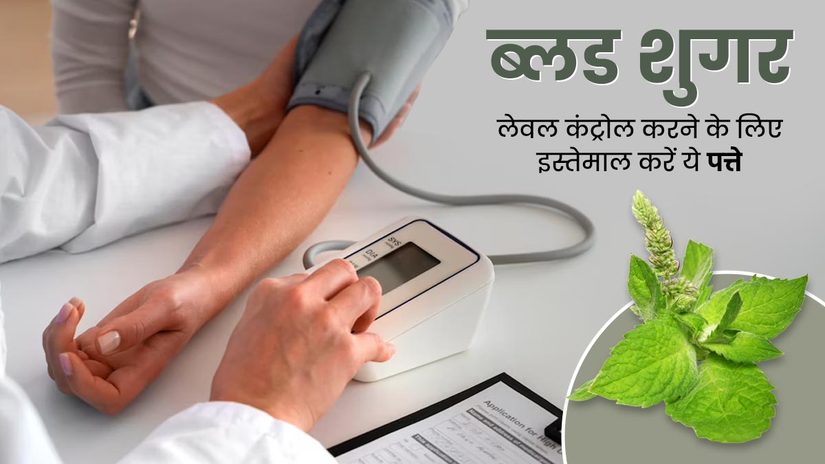 ब्लड शुगर कंट्रोल करती हैं इन 5 पौधों की पत्तियां, डायबिटीज रोगी इस तरह करें इस्तेमाल