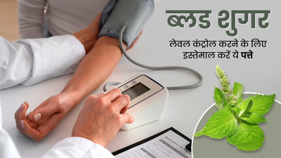 ब्लड शुगर कंट्रोल करती हैं इन 5 पौधों की पत्तियां, डायबिटीज रोगी इस तरह करें इस्तेमाल