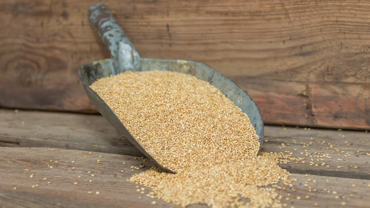 Millet Based Menu at G20 Summit Health Benefits You Should Know About