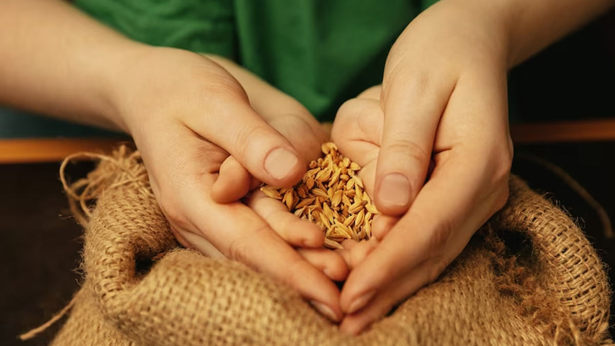 Millet Based Menu at G20 Summit Health Benefits You Should Know About