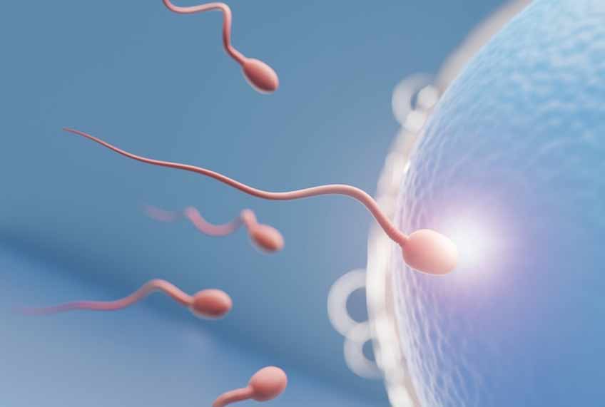 Excessive Gymming Causes Infertility In Men