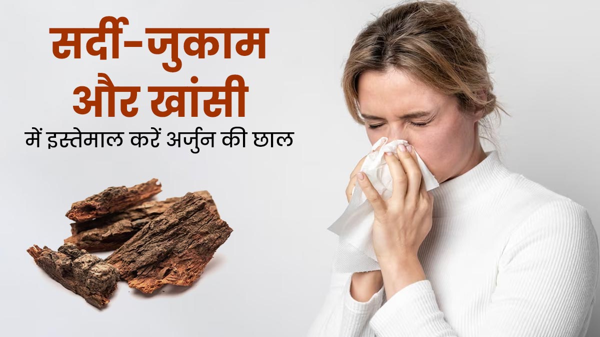 सर्दी-जुकाम और खांसी में रामबाण है अर्जुन की छाल, जानें इस्तेमाल का तरीका 