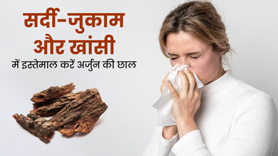 सर्दी-जुकाम और खांसी में रामबाण है अर्जुन की छाल, जानें इस्तेमाल का तरीका 