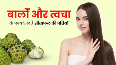 शरीफा की पत्तियां दूर कर सकती हैं स्किन और बालों की कई समस्याएं, जानें इस्तेमाल का तरीका