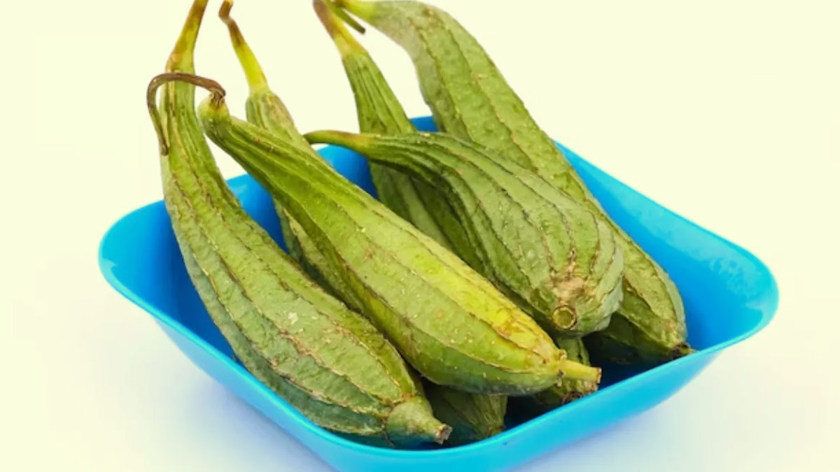 ridge gourd benefits in hindi 