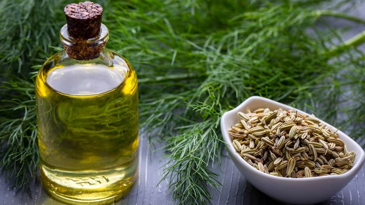 Fennels Seeds For Digestion Its Benefits And How To Use It OnlyMyHealth