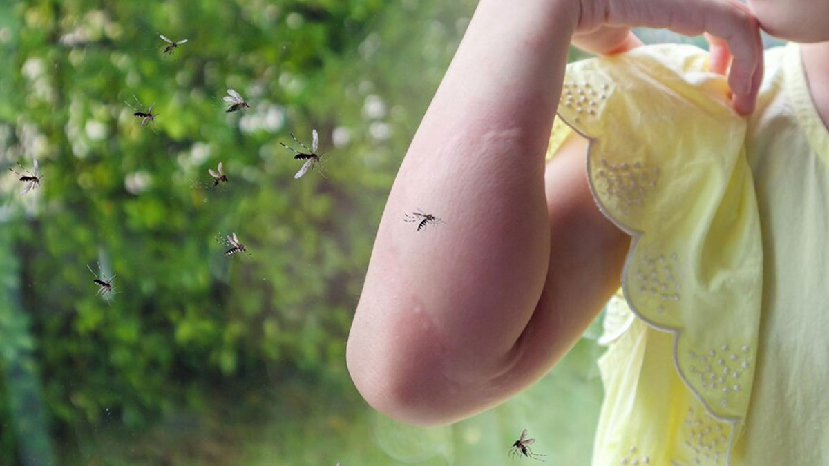 insect-repellent