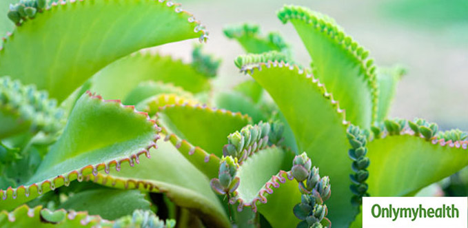 high blood pressure home remedies