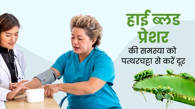 हाई ब्लड प्रेशर की समस्या को पत्थरचट्टा से करें दूर, जानें इस्तेमाल का तरीका