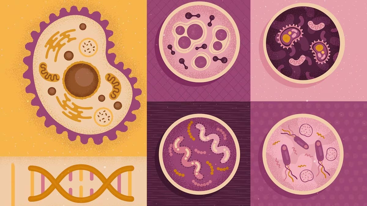 Understanding Diagnosis And Treatment Of Sickle Cell Disease Awareness 