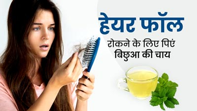 हेयर फॉल कंट्रोल करने में मदद करती है बिछुआ की चाय, इस तरह बनाकर पीने से मिलेगा दोगुना लाभ