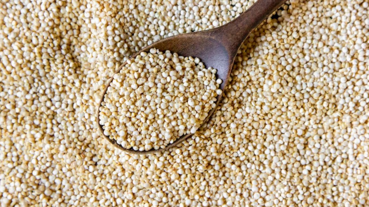 rishi ann kodo health benefits in hindi