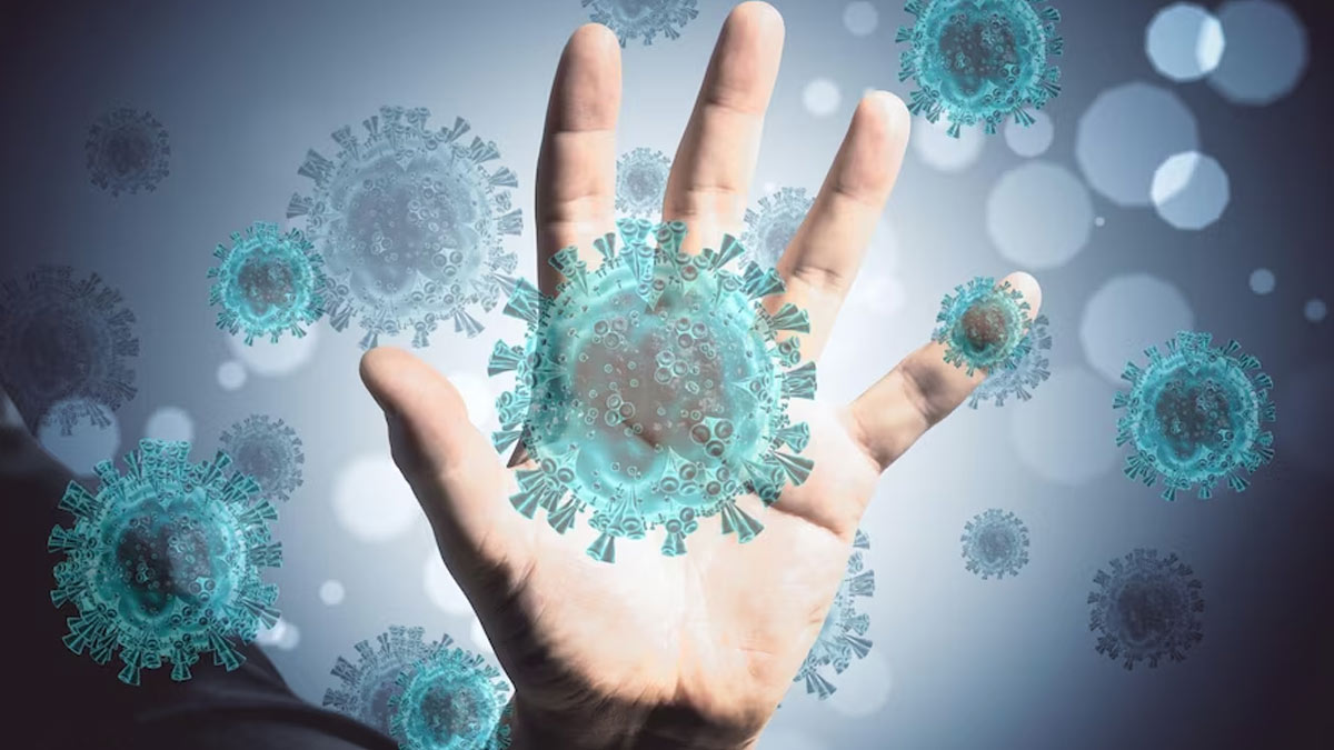 What is Human Metapneumovirus