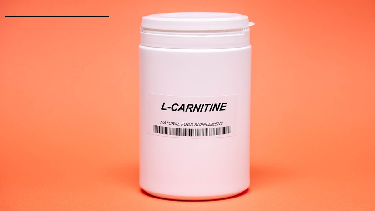 What Is Carnitine And Its Function