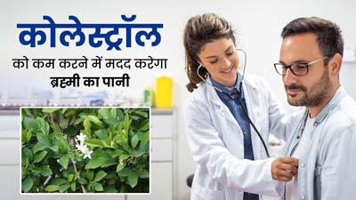 बढ़े हुए कोलेस्ट्रॉल को कम करने में मदद करेगा ब्रह्मी का पानी, हार्ट रोग रोगों का जोखिम भी होगा कम 