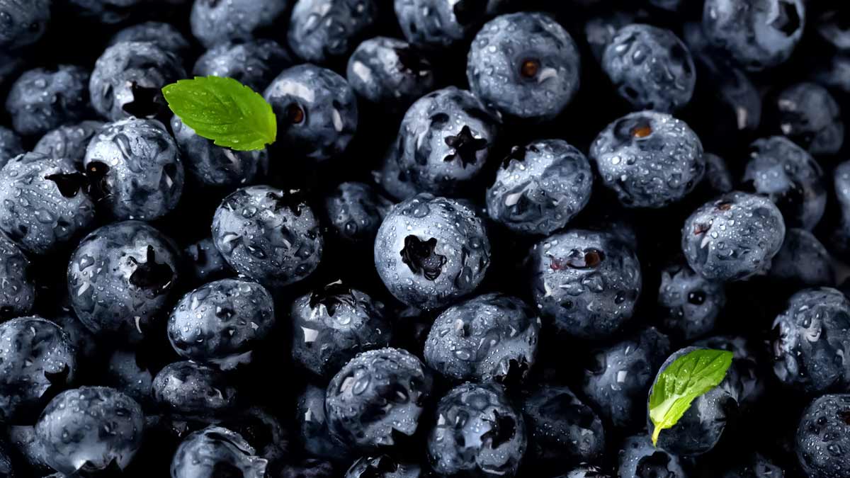 Blueberries: Here’s How They Can Reduce The Risk Of Getting These Diseases 