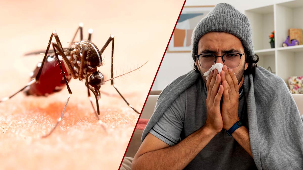 गाजियाबाद में 500 तो नोएडा में 400 पहुंची डेंगू के मरीजों की संख्या, नए स्ट्रेन के भी मरीजों की पुष्टि