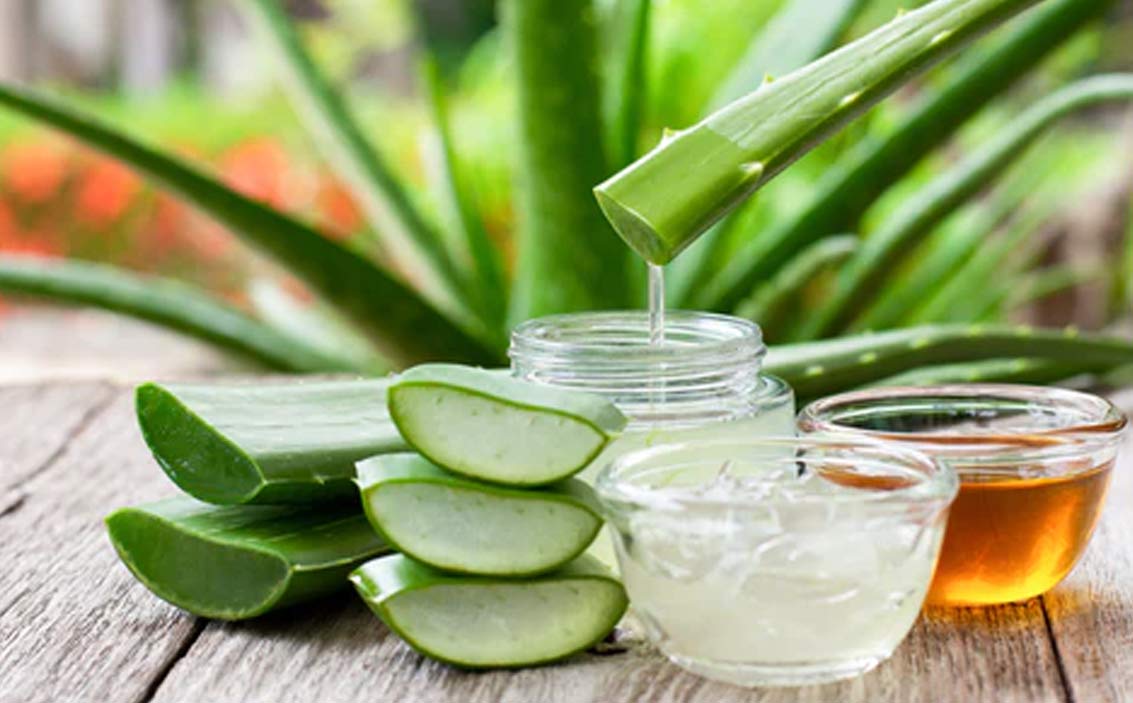aloevera