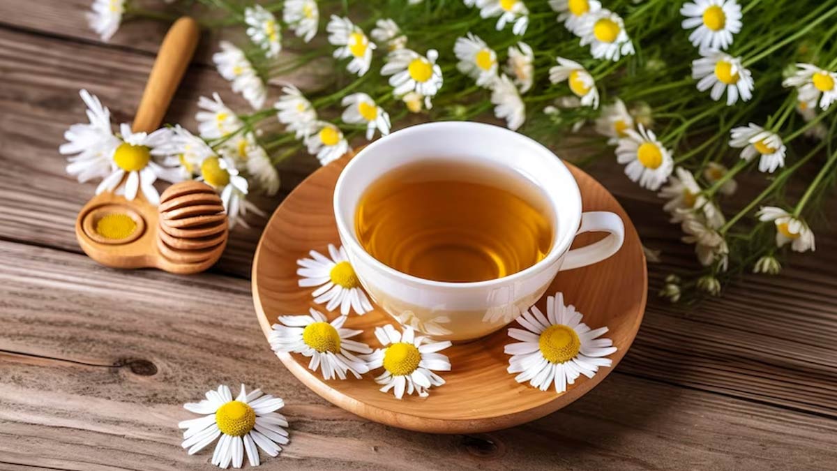 chamomile-tea