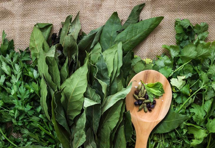 Herbal Leaves To Increase Platelets Count