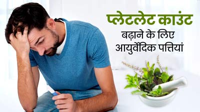 प्लेटलेट काउंट कम होने पर करें इन आयुर्वेदिक पत्तियों का सेवन, तेजी से होगी रिकवरी