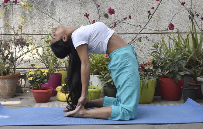 ustrasana