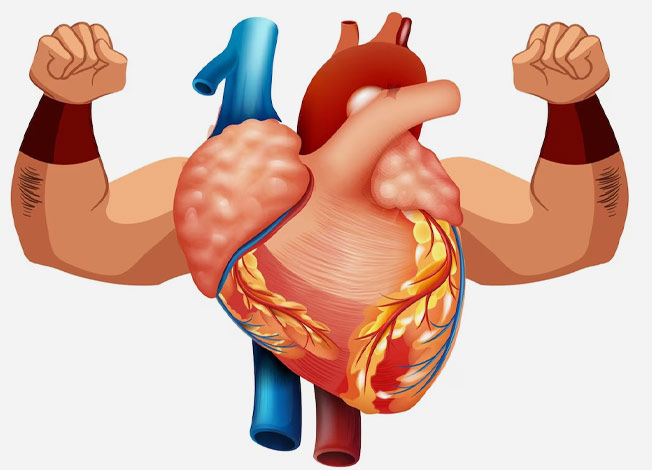 Mint Leaves Benefits To Control High Cholesterol