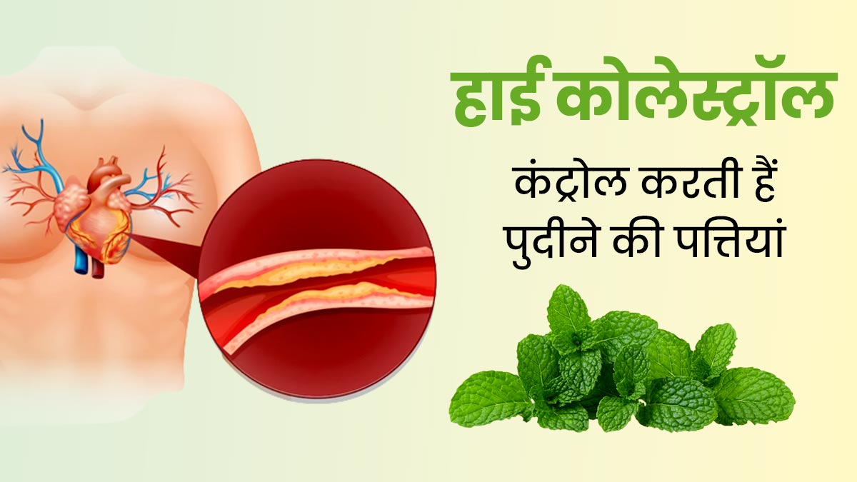 हाई कोलेस्ट्रॉल कंट्रोल करने के लिए ऐसे करें पुदीने की पत्तियों का सेवन, मिलेगा फायदा