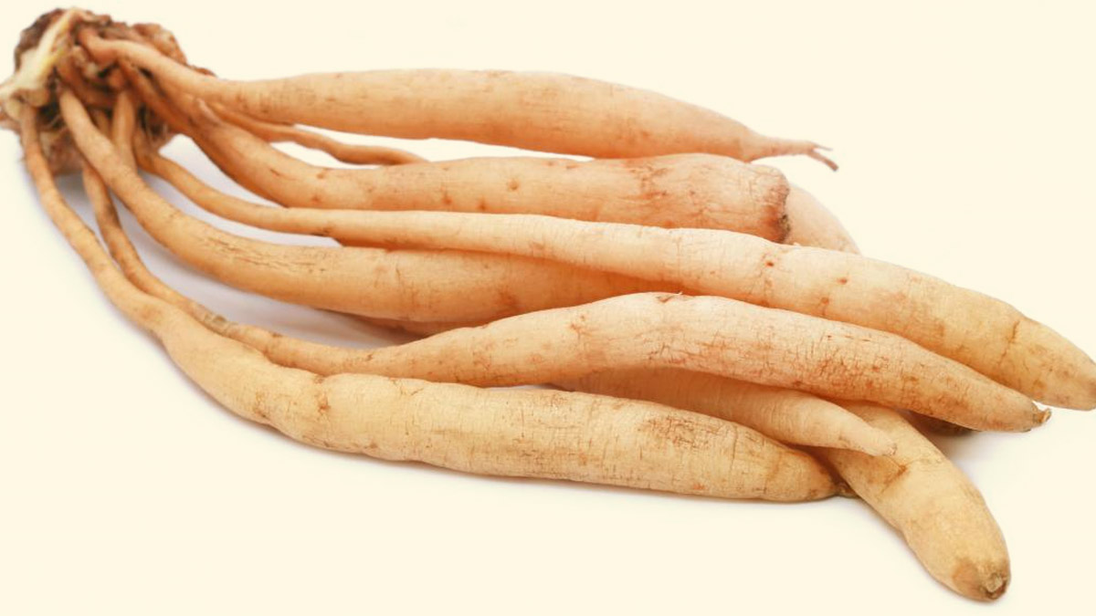 Health Benefits Of Shatavari