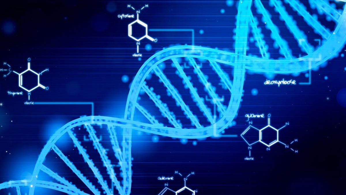 Link Between Fertility And Alzheimer's