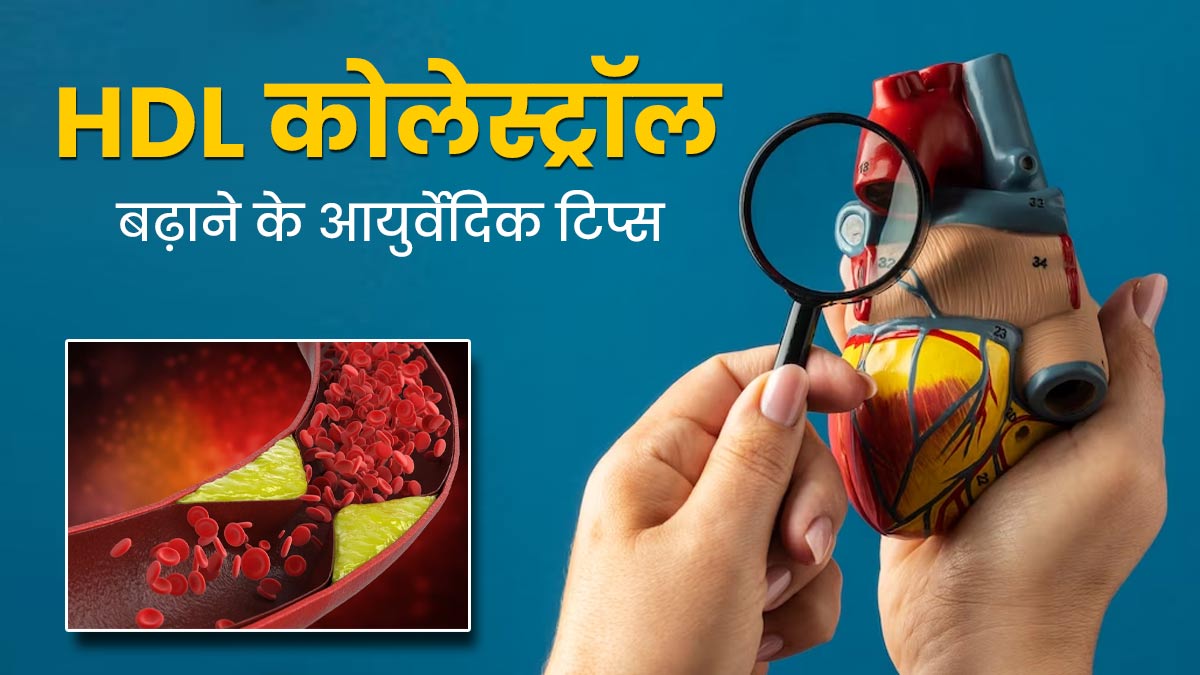 आयुर्वेद के अनुसार एचडीएल (गुड) कोलेस्ट्रॉल कैसे बढ़ाएं? आयुर्वेदाचार्य से जानें कुछ सरल टिप्स