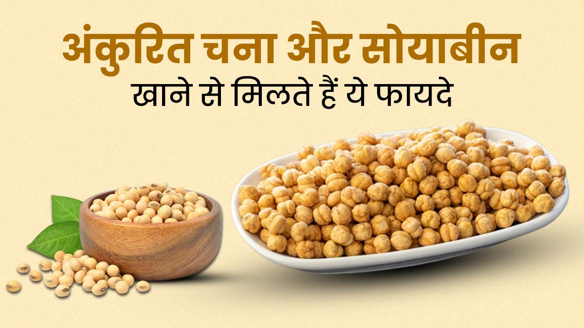 अंकुरित चना और सोयाबीन खाने से शरीर को मिलते हैं ये 5 फायदे, जानें खाने का सही तरीका 