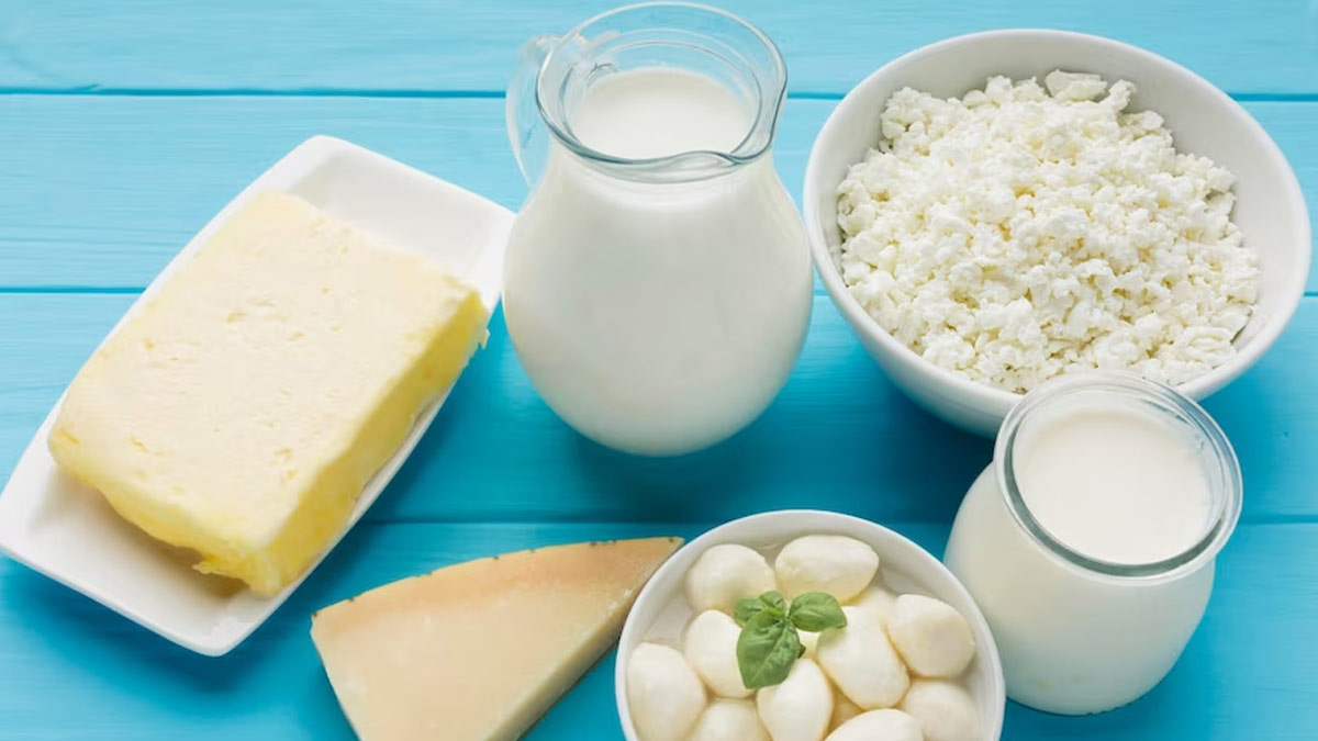 calcium rich foods