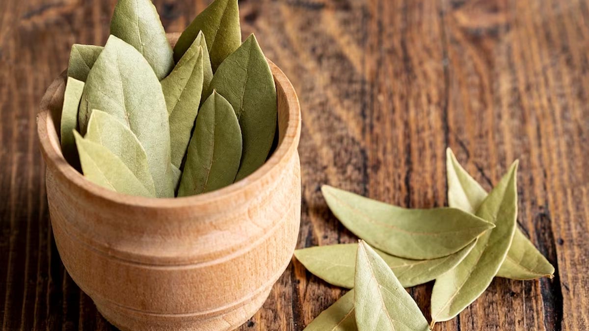 Bay Leaves Side Effects