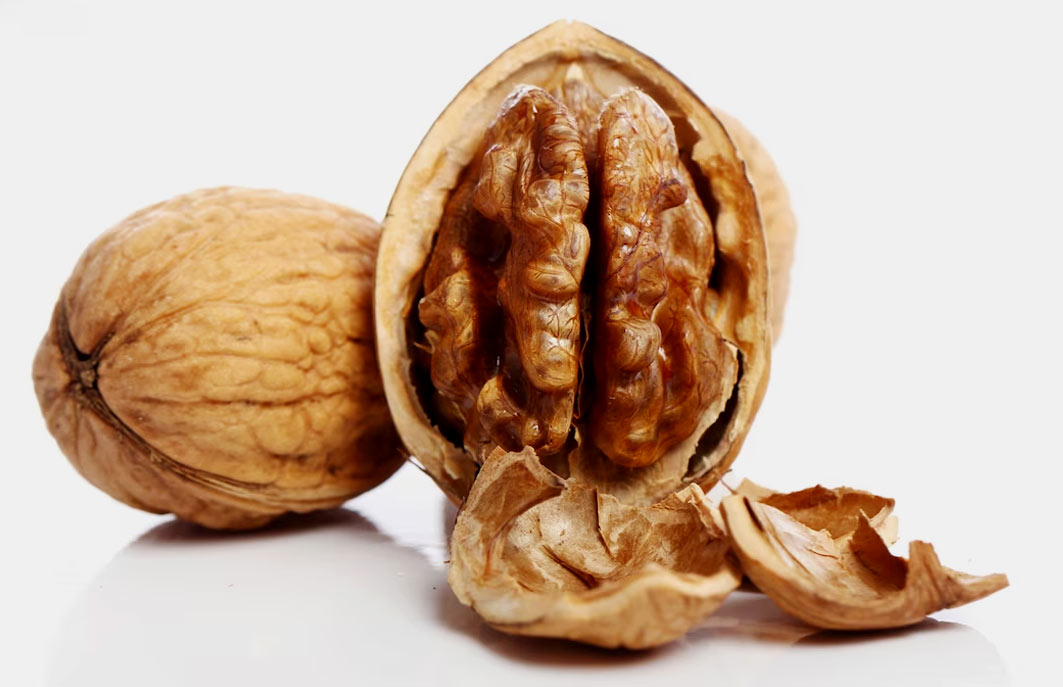 walnut