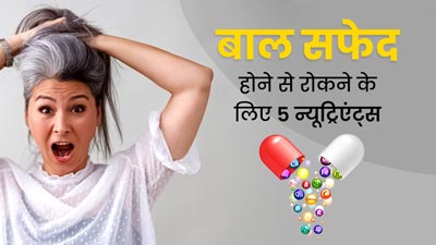 समय से पहले सफेद बालों की समस्या कम करते हैं ये 5 न्यूट्रिएंट्स, जानें कौन-कौन से फूड्स में होते हैं मौजूद