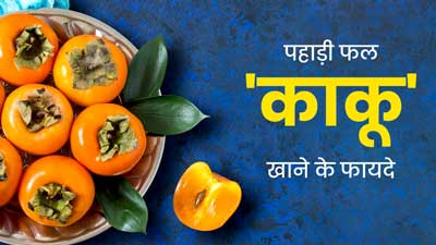 Kaku Fruit Benefits: पहाड़ी फल 'काकू' खाने से सेहत को मिलते हैं ये 5 जबरदस्त फायदे