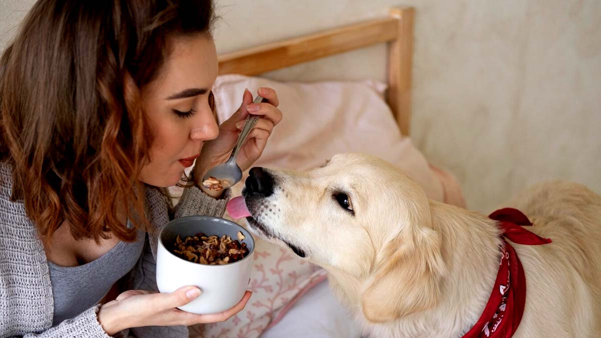 Rabies Prevention Tips: पालतू जानवरों से भी हो सकता है रेबीज, डॉक्‍टर से जानें कैसे बरतें सावधानी 