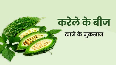 Bitter Gourd Seeds: करेले के बीज खाने से सेहत को हो सकते हैं ये 5 नुकसान, न करें सेवन
