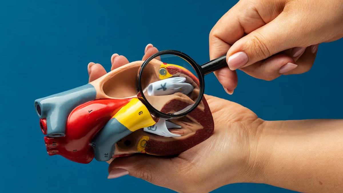 World Heart Day 2023: All About Heart Valve Replacement, A Life Saving Procedure For Millions 