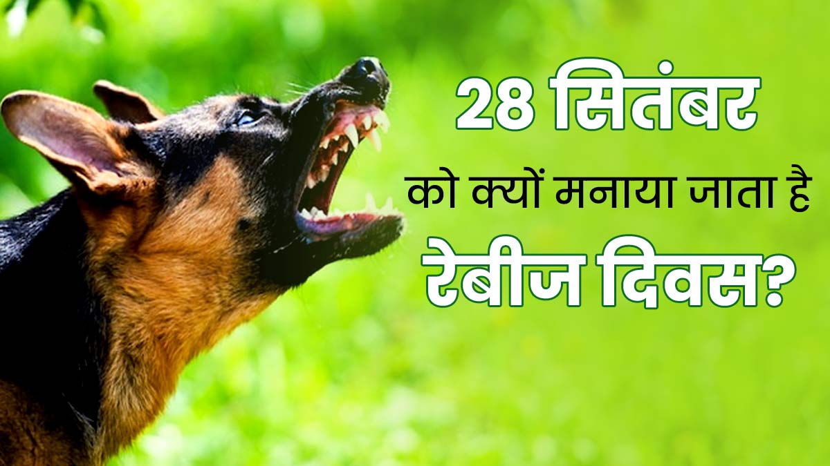World Rabies Day 2023: 28 सितंबर को क्यों मनाया जाता है रेबीज दिवस? जानें क्या है इस साल की थीम