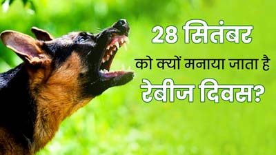 World Rabies Day 2023: 28 सितंबर को क्यों मनाया जाता है रेबीज दिवस? जानें क्या है इस साल की थीम