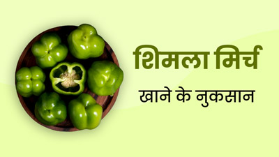 ज्यादा शिमला मिर्च खाने से शरीर को हो सकते हैं गंभीर नुकसान, इन लोगों को नहीं करना चाहिए सेवन
