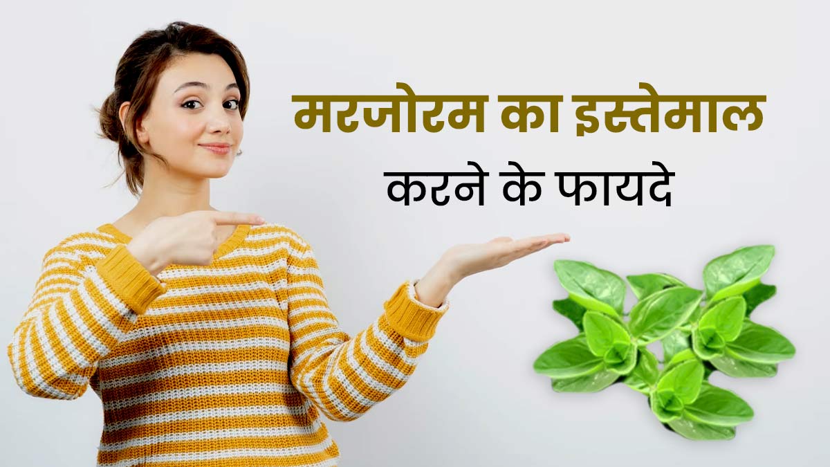 हार्ट से लेकर अस्थमा जैसी समस्याओं में रामबाण है मरजोरम, जानें इसके फायदे
