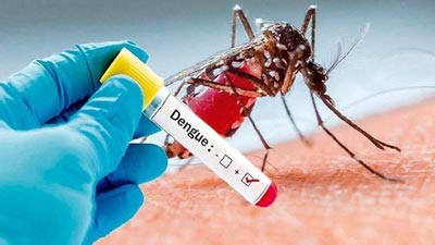 Dengue Cases: देश में तेजी से बढ़ रहे डेंगू के मामले, मनसुख मंडाविया ने अधिकारियों के दिए ये खास निर्देश