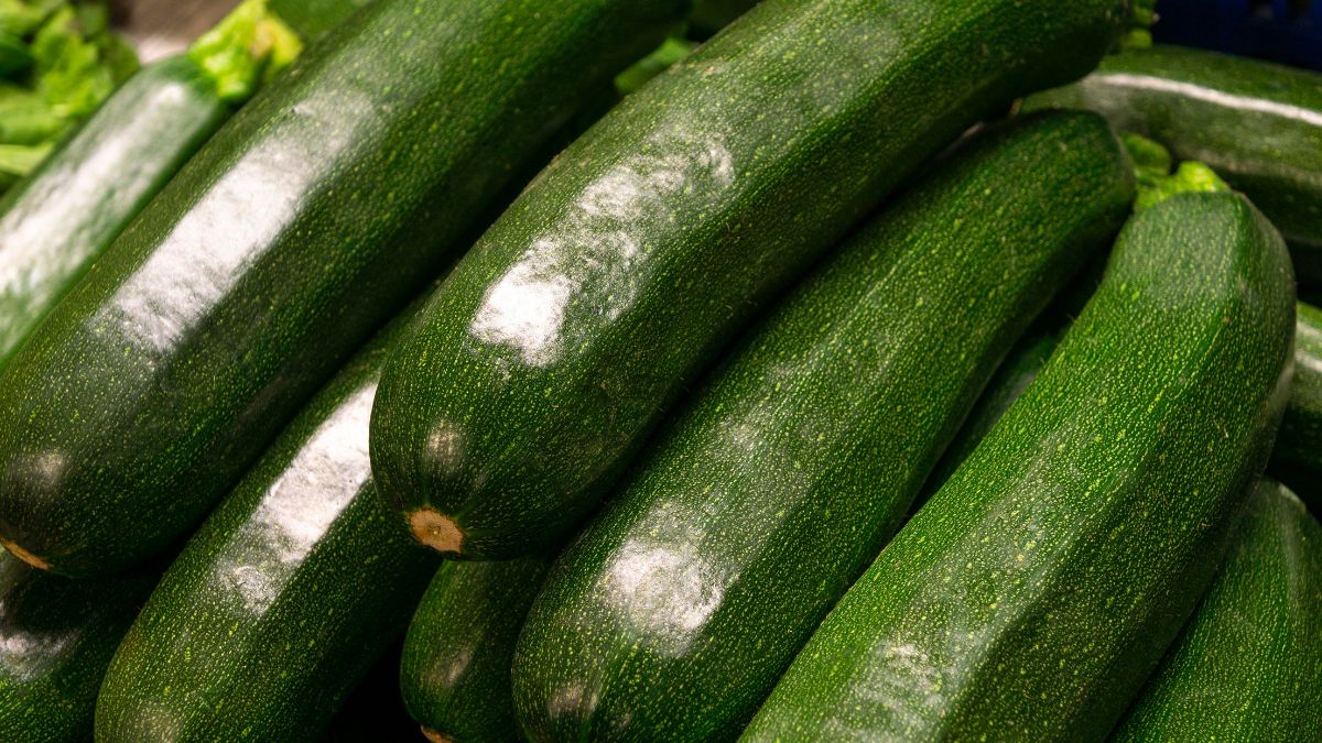 Summer Squash Health Benefits