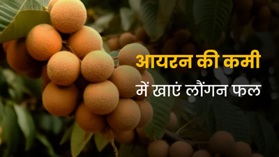 आयरन की कमी होने पर करें Longan Fruit का सेवन, बढ़ेगा हीमोग्लोबिन और खून का स्तर
