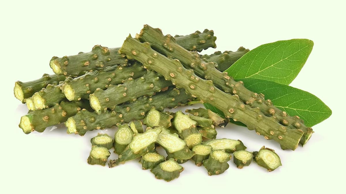 Ayurveda For Diabetes Remedies to Manage Blood Sugar Levels Naturally