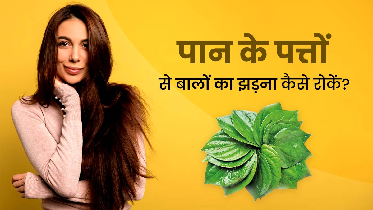 Betel Leaf For Hair: पान के पत्तों से बालों का झड़ना कैसे रोकें? जानें 4 तरीके, जिनसे होगा हेयर फॉल कंट्रोल