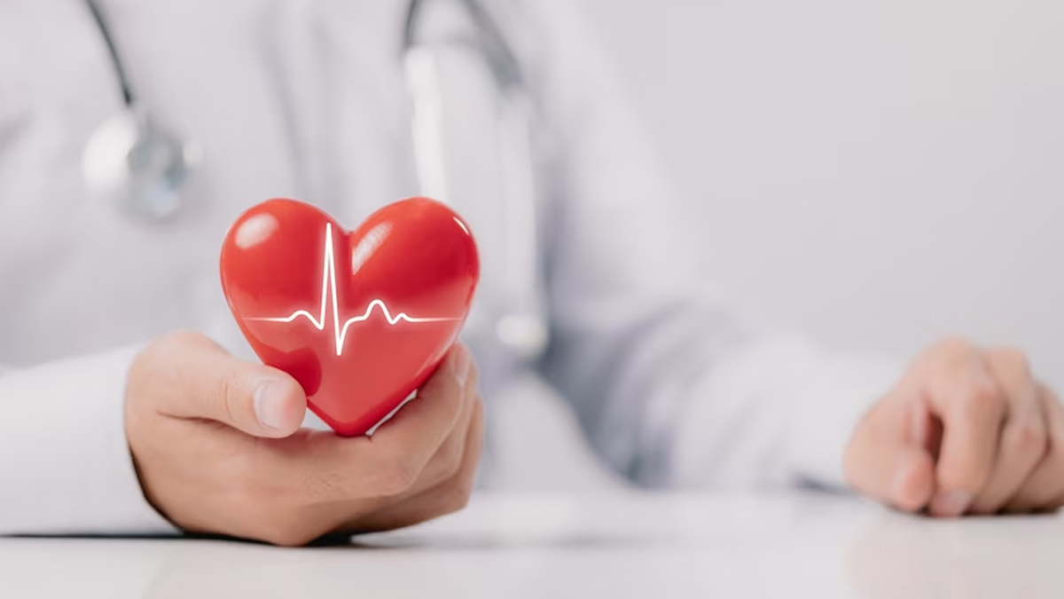 Gut Heart Connection